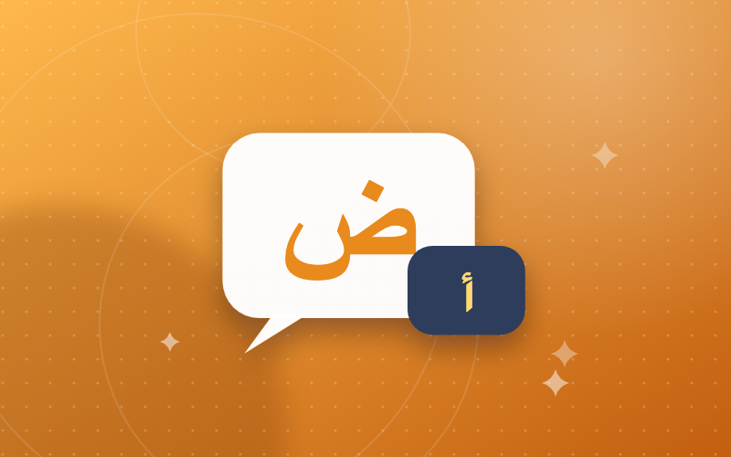 النحو الميسّر — الكفايات اللغوية